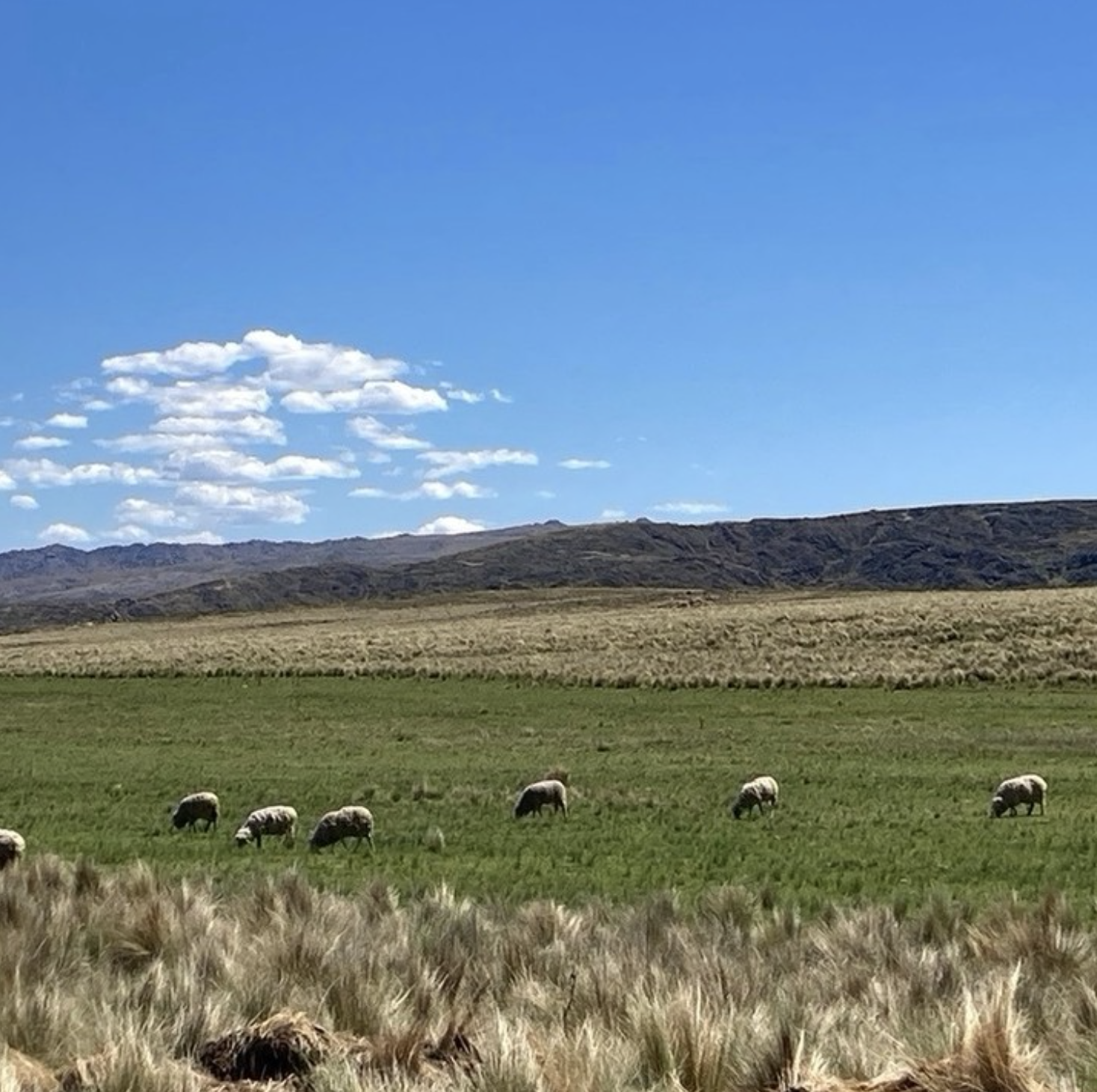 Vista panorámica del rancho